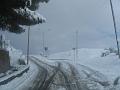 Neve (11)